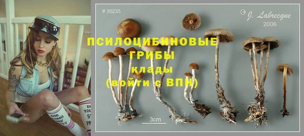 марки nbome Туринск