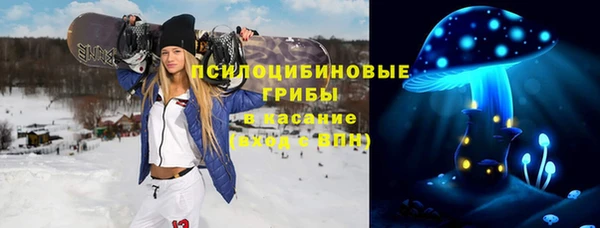 мдма Гусев