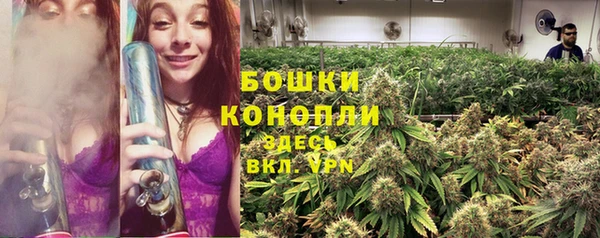 мдма Гусев