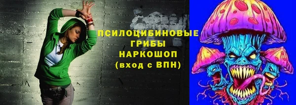 стафф Гусь-Хрустальный