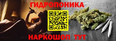 ALPHA PVP Заволжье