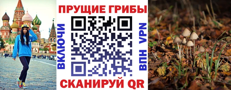 Галлюциногенные грибы GOLDEN TEACHER Железноводск