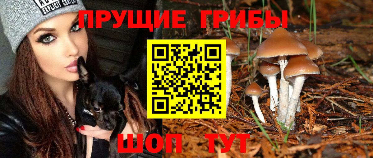 Псилоцибиновые грибы ЛСД  Вход с VPN  Железноводск 