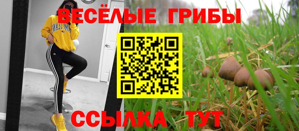 Галлюциногенные грибы мицелий Железноводск